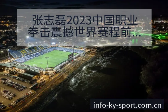 张志磊2023中国职业拳击震撼世界赛程前瞻与风险观察 - 开云